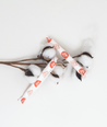 Applicator Tampons